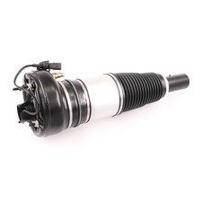 LUFTFEDERBEIN VORDERACHSE