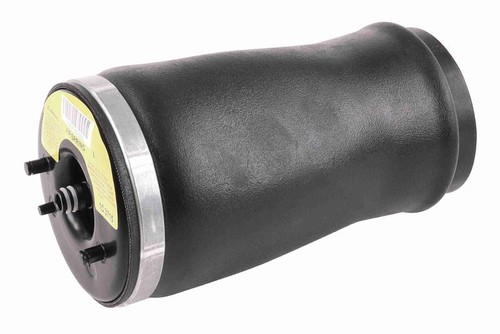 Luftfederbein hinten links - hinten,