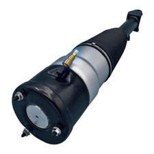 Luftfederbein Vorderachse